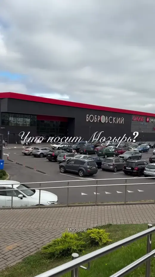 Мозырь
